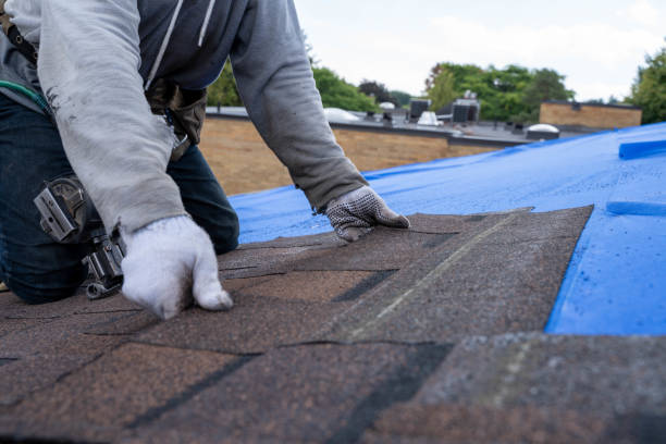 Best Shingle Roofing Installation  in Lewiston, CA