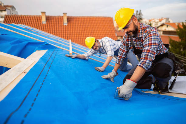 Best Local Roofing Companies  in Lewiston, CA